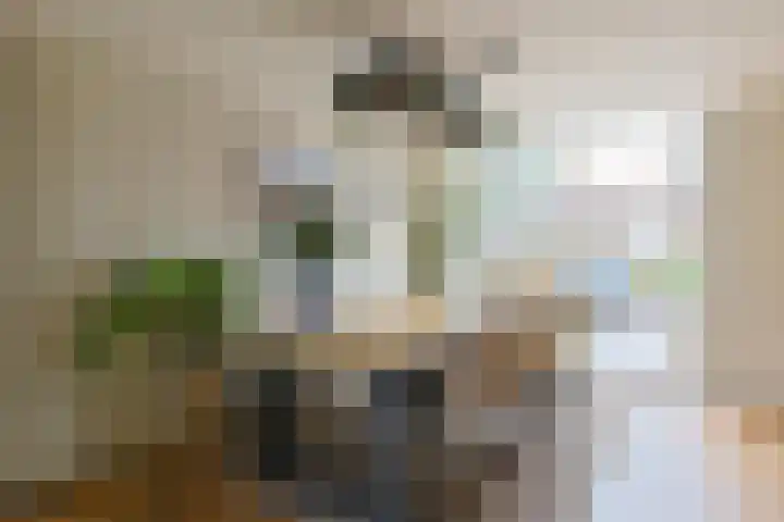 Emmalaan 126 Alphen aan den Rijn thumbnail 14