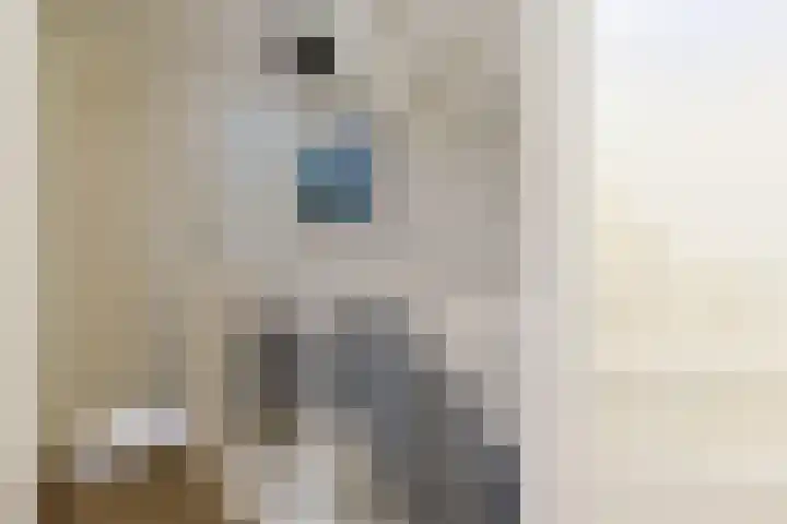 Emmalaan 126 Alphen aan den Rijn thumbnail 18