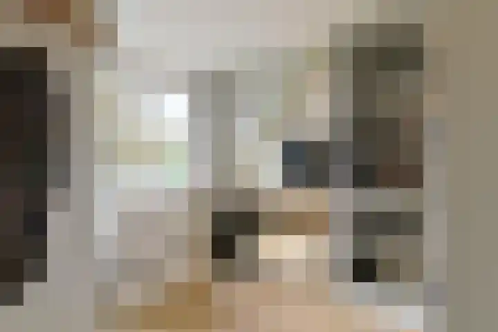 Emmalaan 126 Alphen aan den Rijn thumbnail 23