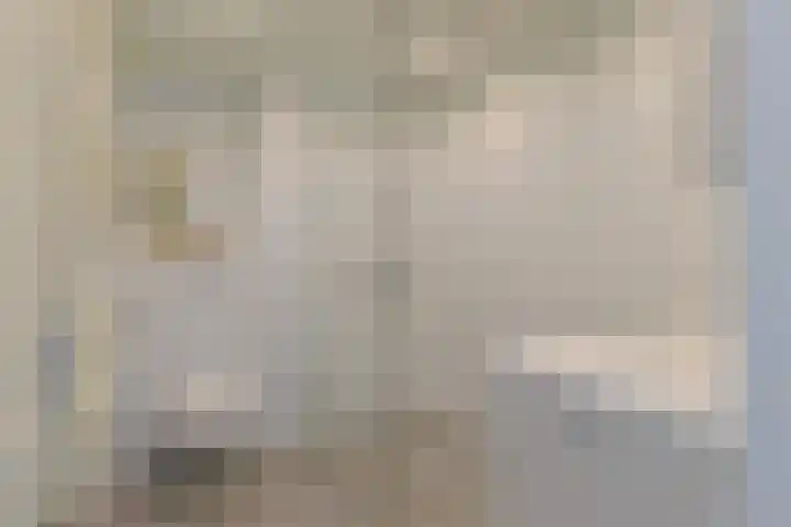 Emmalaan 126 Alphen aan den Rijn thumbnail 27