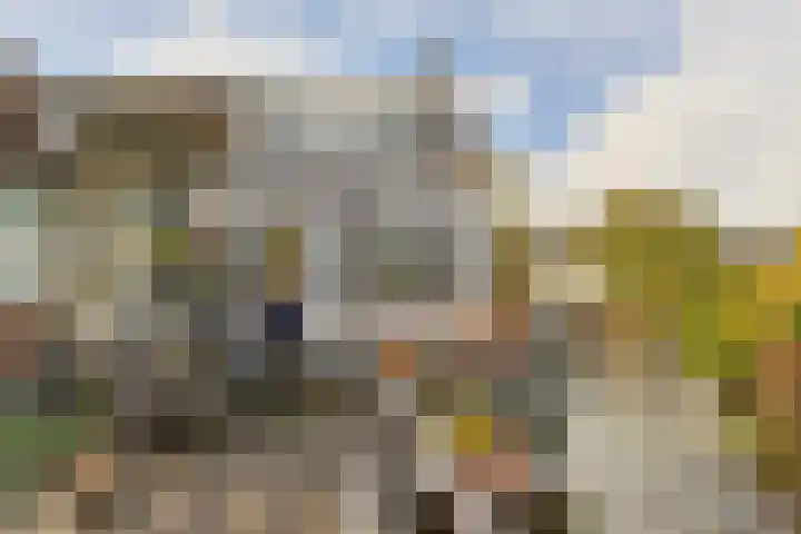 Emmalaan 126 Alphen aan den Rijn thumbnail 40
