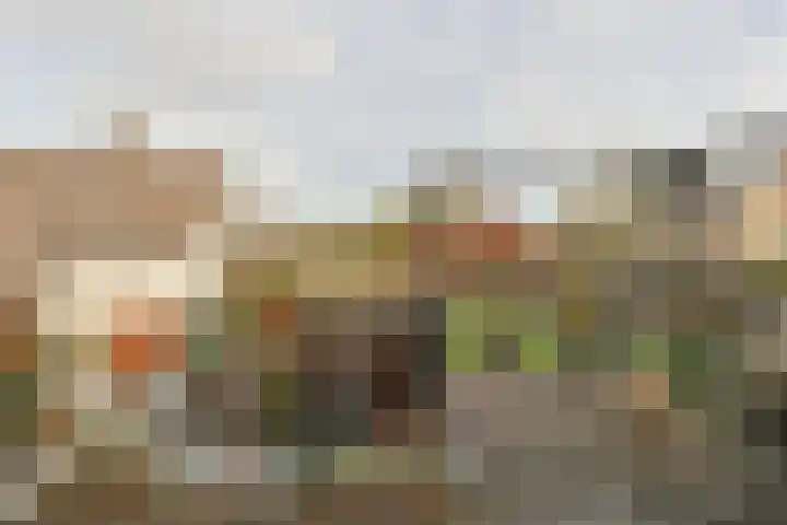 Emmalaan 126 Alphen aan den Rijn thumbnail 41