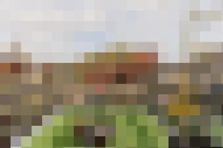 Emmalaan 126 Alphen aan den Rijn thumbnail 42