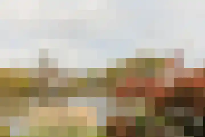 Emmalaan 126 Alphen aan den Rijn thumbnail 43