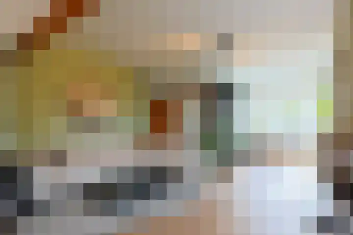Emmalaan 126 Alphen aan den Rijn thumbnail 7