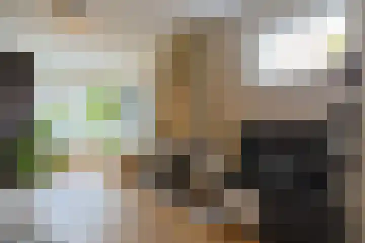 Emmalaan 126 Alphen aan den Rijn thumbnail 8