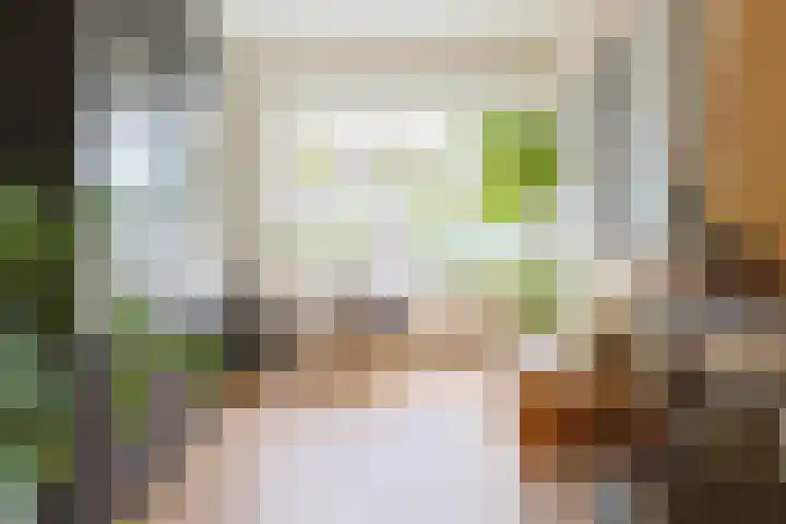 Emmalaan 126 Alphen aan den Rijn thumbnail 9