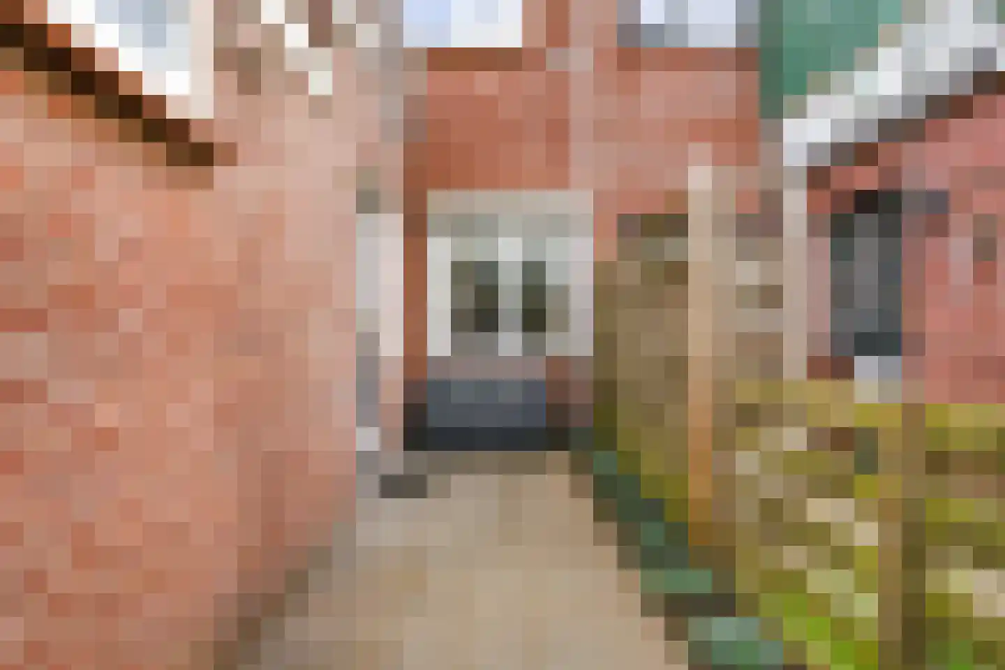 Emmalaan 133 Alphen aan den Rijn thumbnail 20