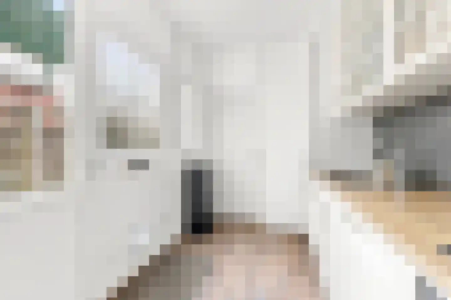 Emmalaan 133 Alphen aan den Rijn thumbnail 8