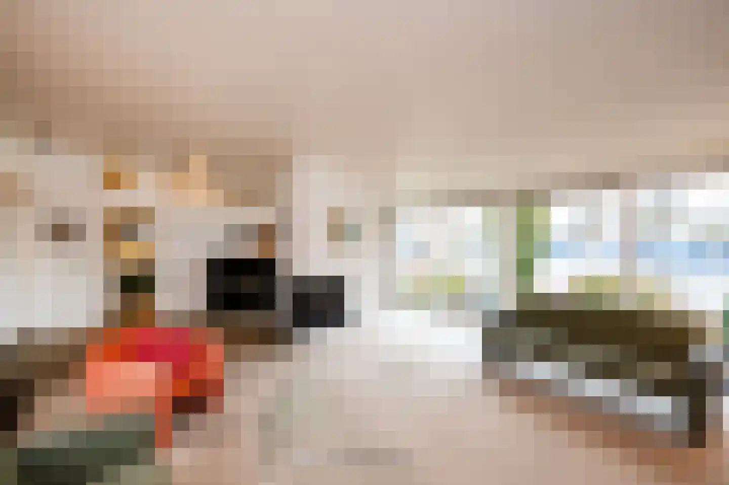 Emmalaan 134 Alphen aan den Rijn thumbnail 11