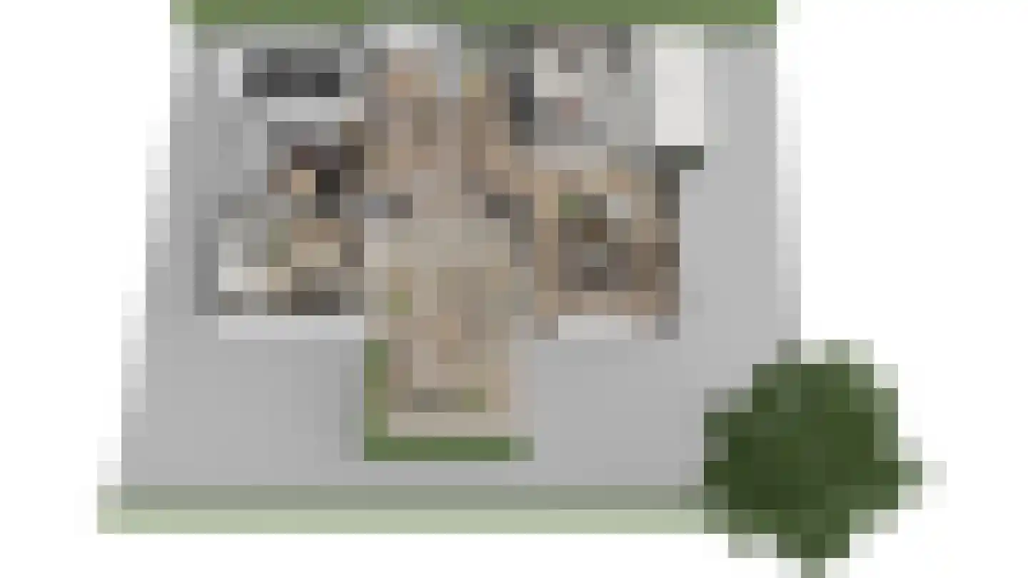 Emmalaan 134 Alphen aan den Rijn thumbnail 28