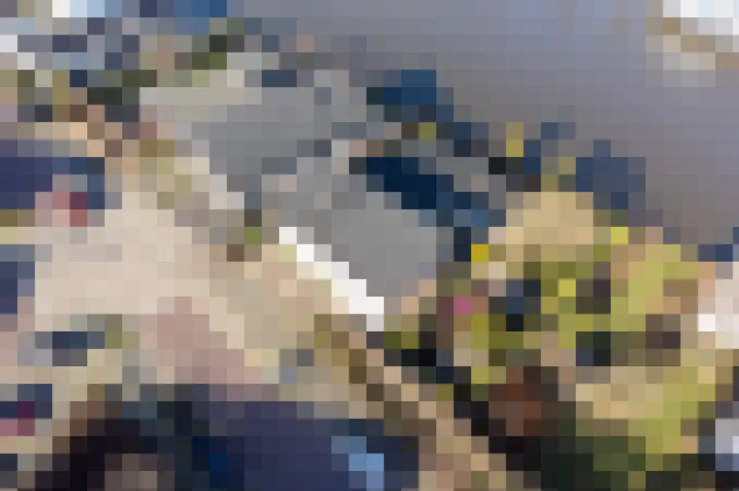 Emmalaan 134 Alphen aan den Rijn thumbnail 33