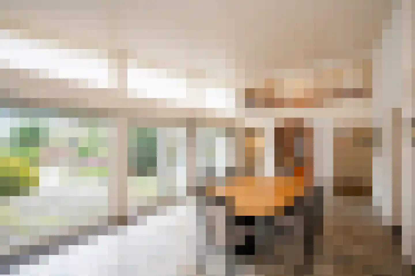 Emmalaan 134 Alphen aan den Rijn thumbnail 9