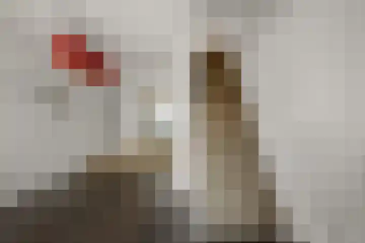 Emmalaan 135 Alphen aan den Rijn thumbnail 6