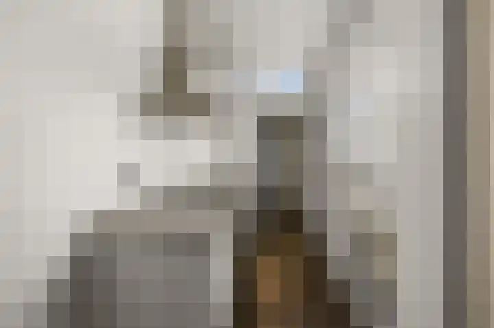 Emmalaan 135 Alphen aan den Rijn thumbnail 7