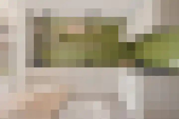 Emmalaan 14 Schijndel thumbnail 14