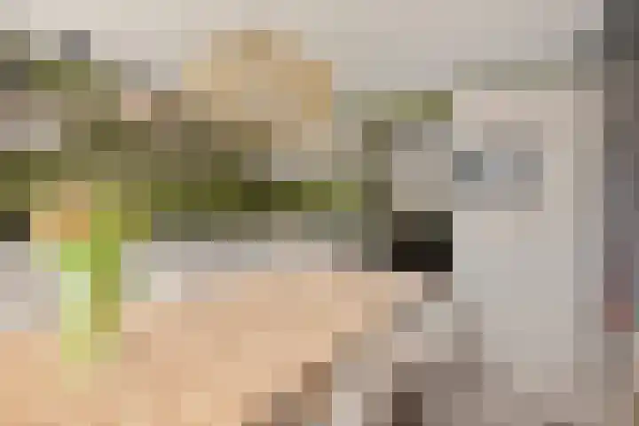 Emmalaan 14 Schijndel thumbnail 15