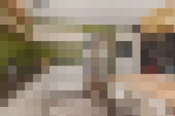Emmalaan 14 Schijndel thumbnail 16
