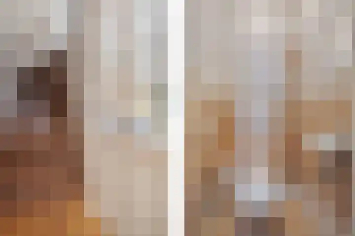 Emmalaan 14 Schijndel thumbnail 17