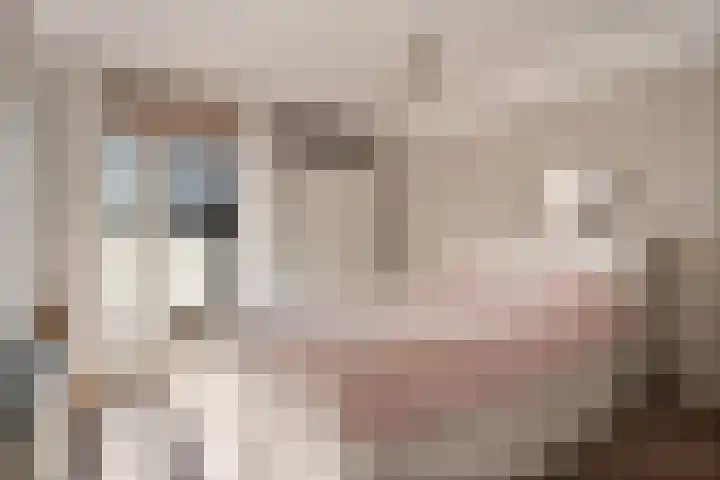 Emmalaan 14 Schijndel thumbnail 19