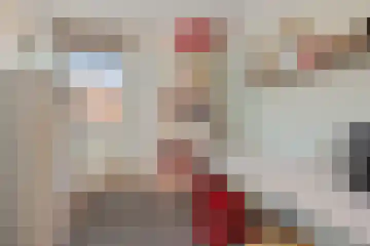 Emmalaan 14 Schijndel thumbnail 21