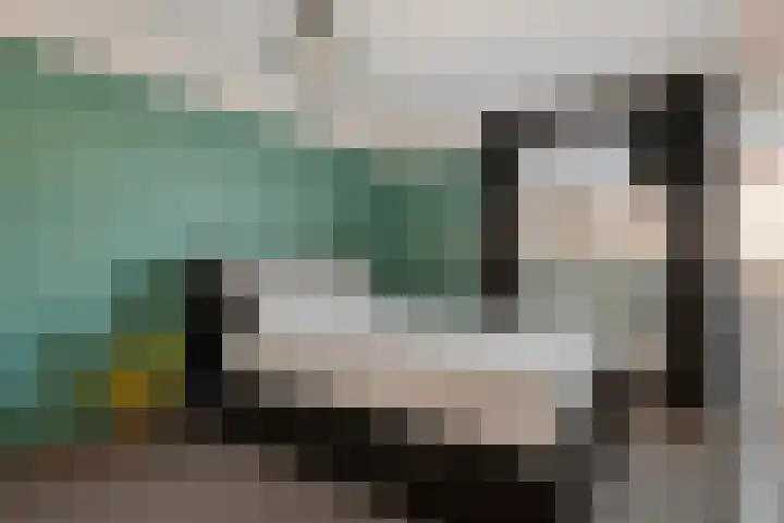 Emmalaan 14 Schijndel thumbnail 22