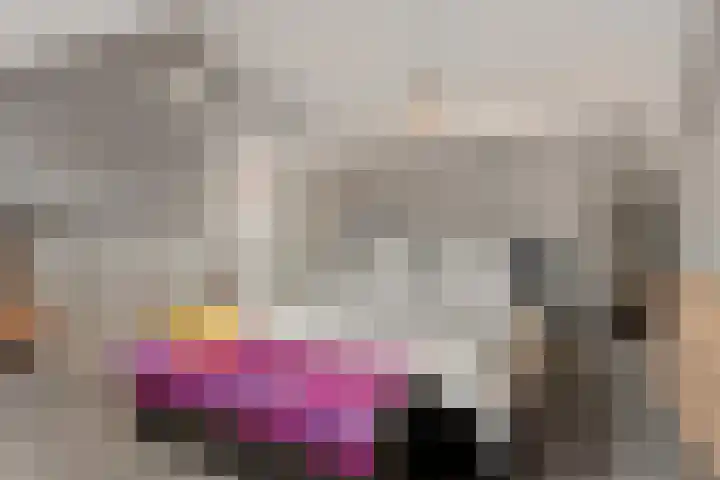 Emmalaan 14 Schijndel thumbnail 27