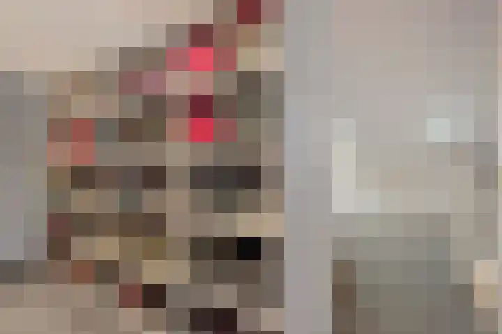 Emmalaan 14 Schijndel thumbnail 29