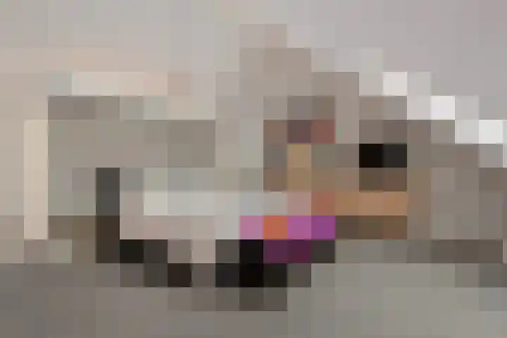 Emmalaan 14 Schijndel thumbnail 30