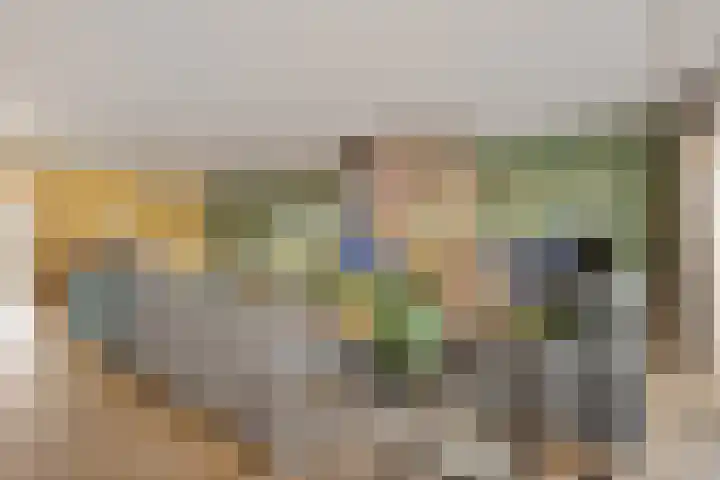 Emmalaan 14 Schijndel thumbnail 9