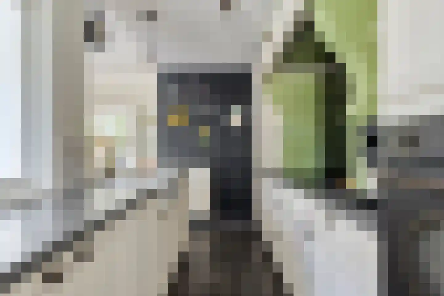 Emmalaan 14 Terneuzen thumbnail 10
