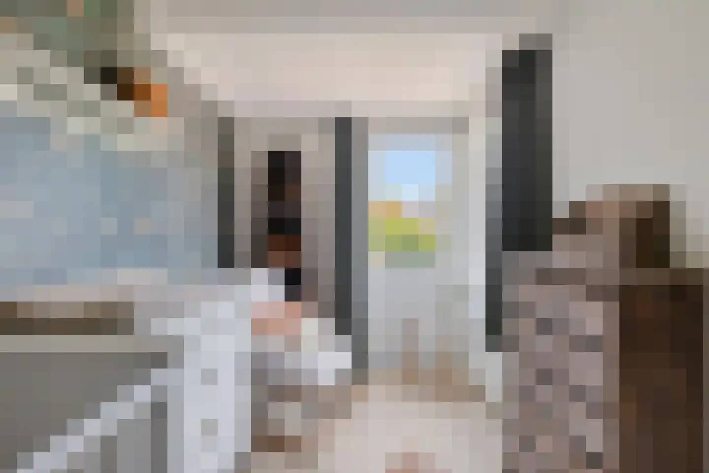 Emmalaan 14 Terneuzen thumbnail 18