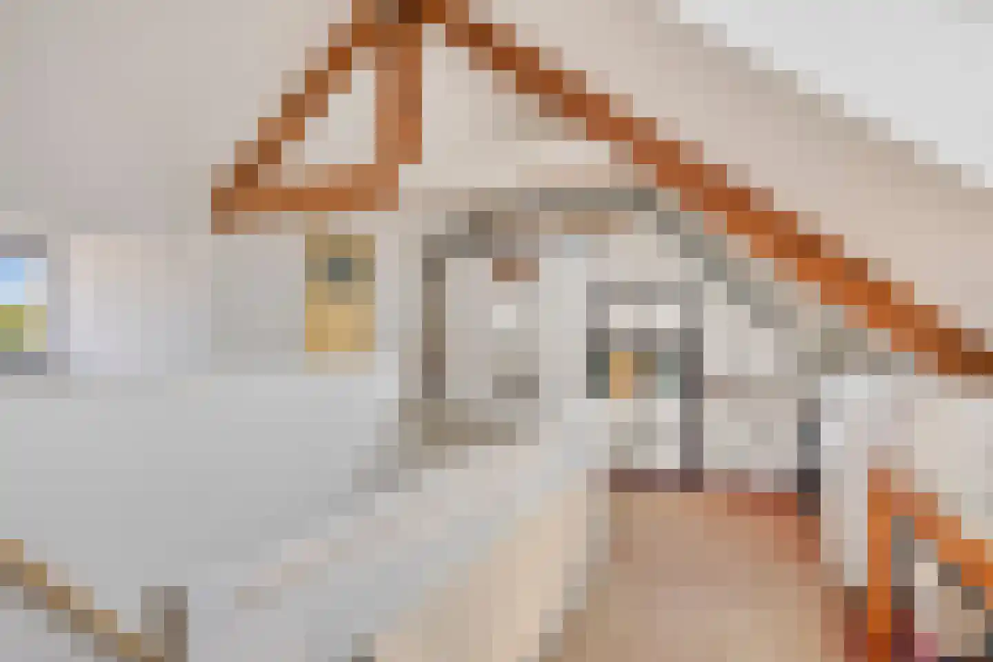 Emmalaan 14 Terneuzen thumbnail 22