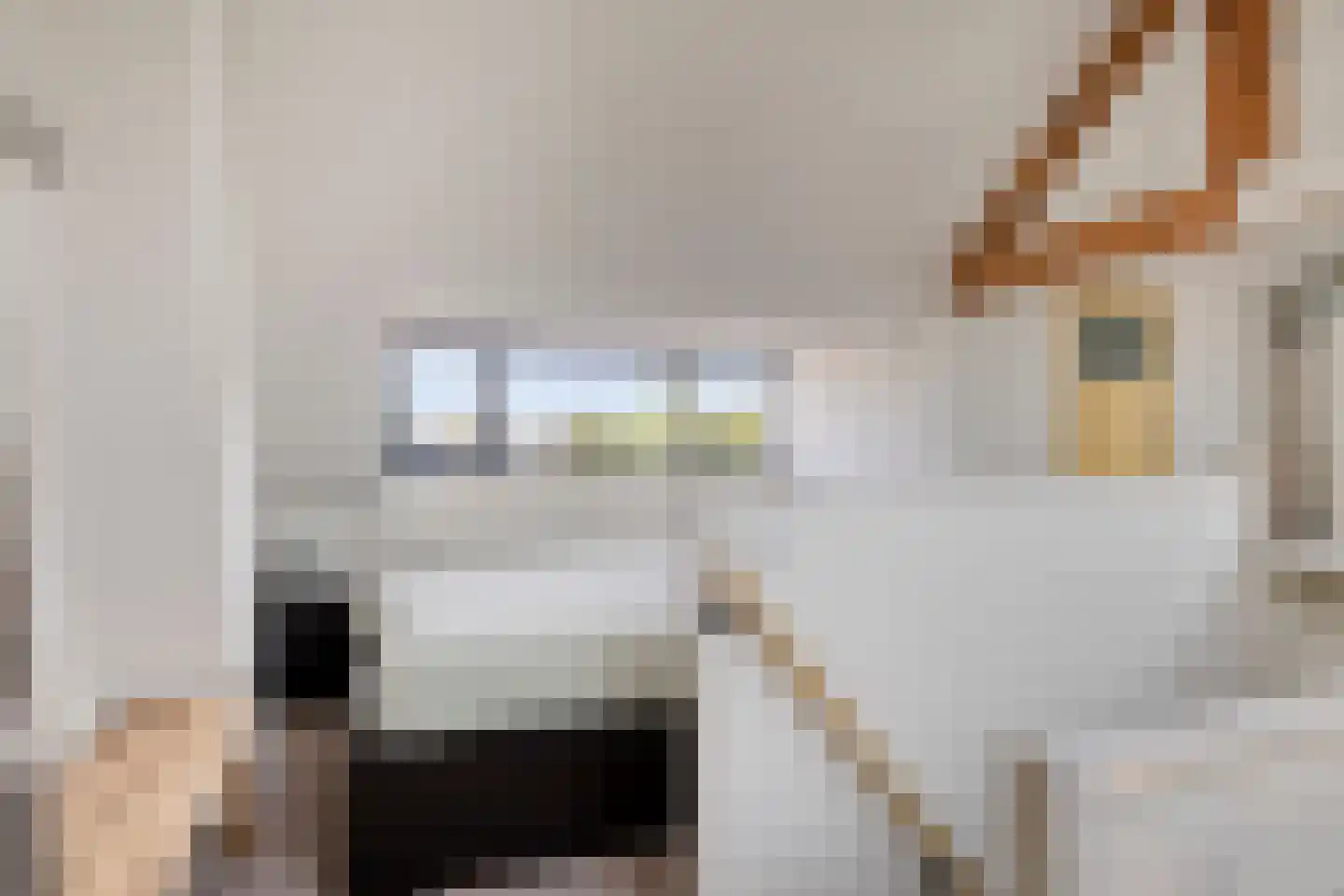 Emmalaan 14 Terneuzen thumbnail 23