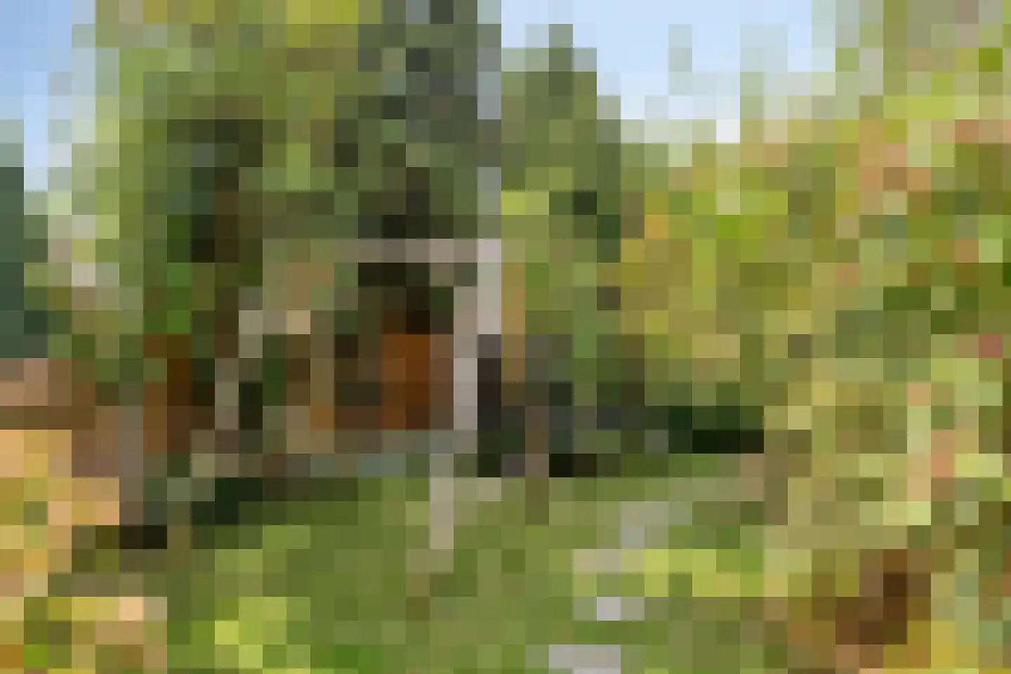 Emmalaan 14 Terneuzen thumbnail 26