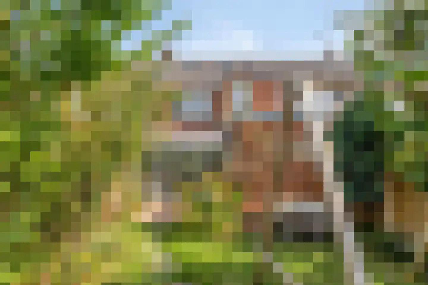 Emmalaan 14 Terneuzen thumbnail 27