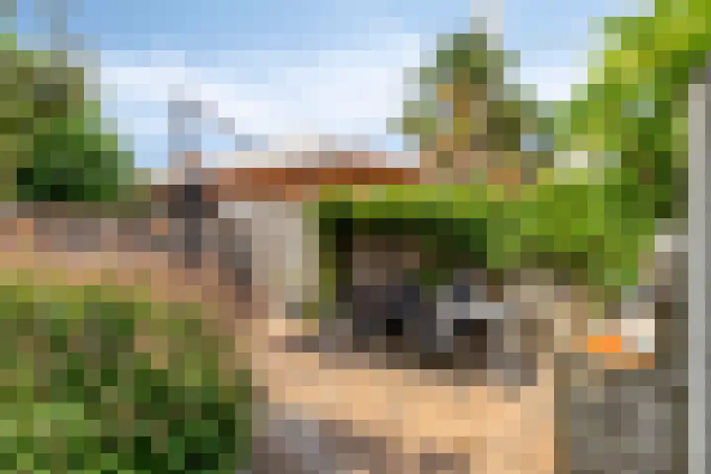 Emmalaan 14 Terneuzen thumbnail 28