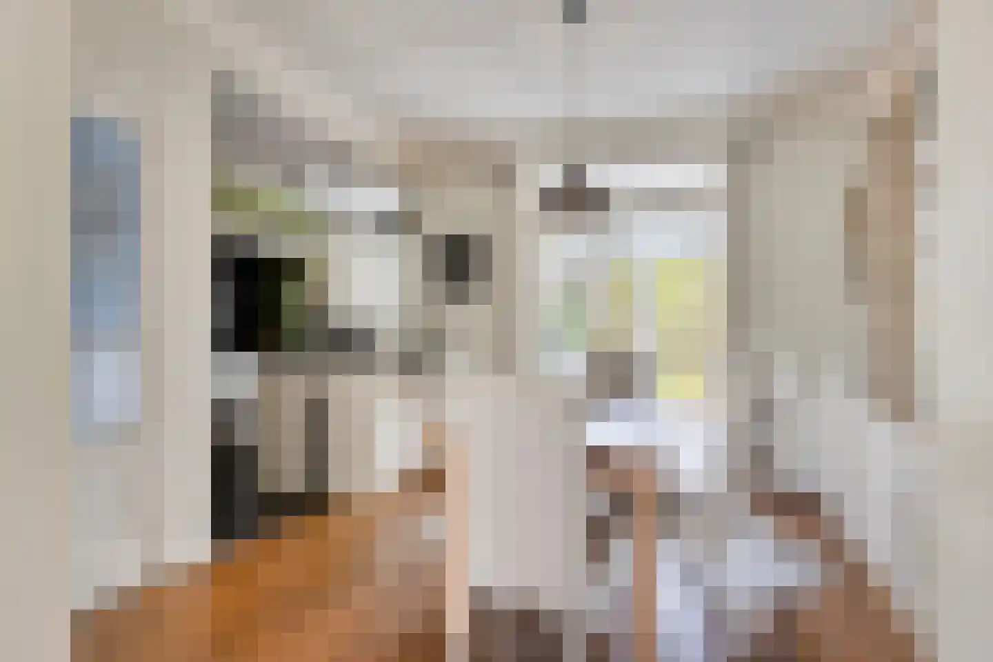 Emmalaan 14 Terneuzen thumbnail 4