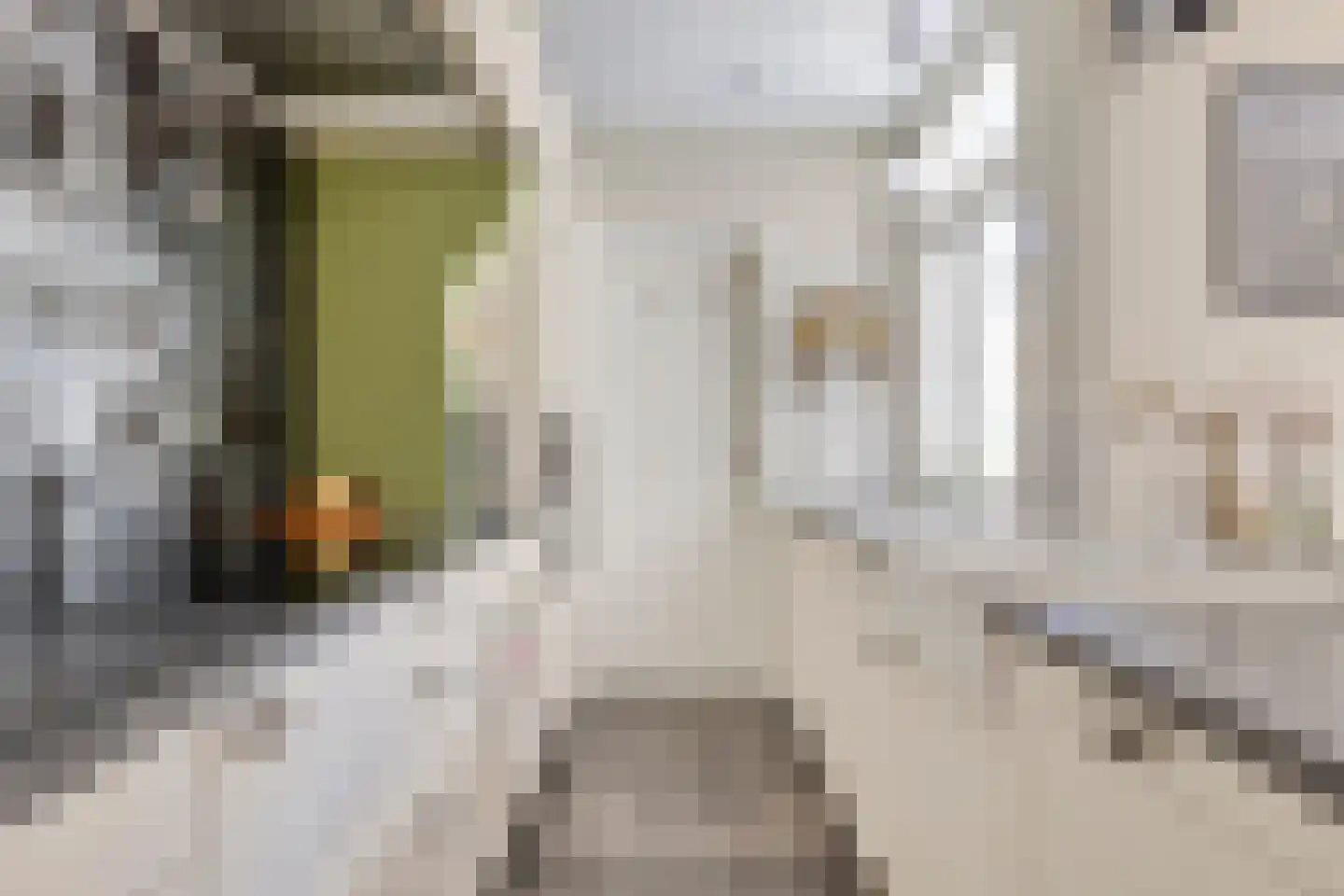 Emmalaan 14 Terneuzen thumbnail 5
