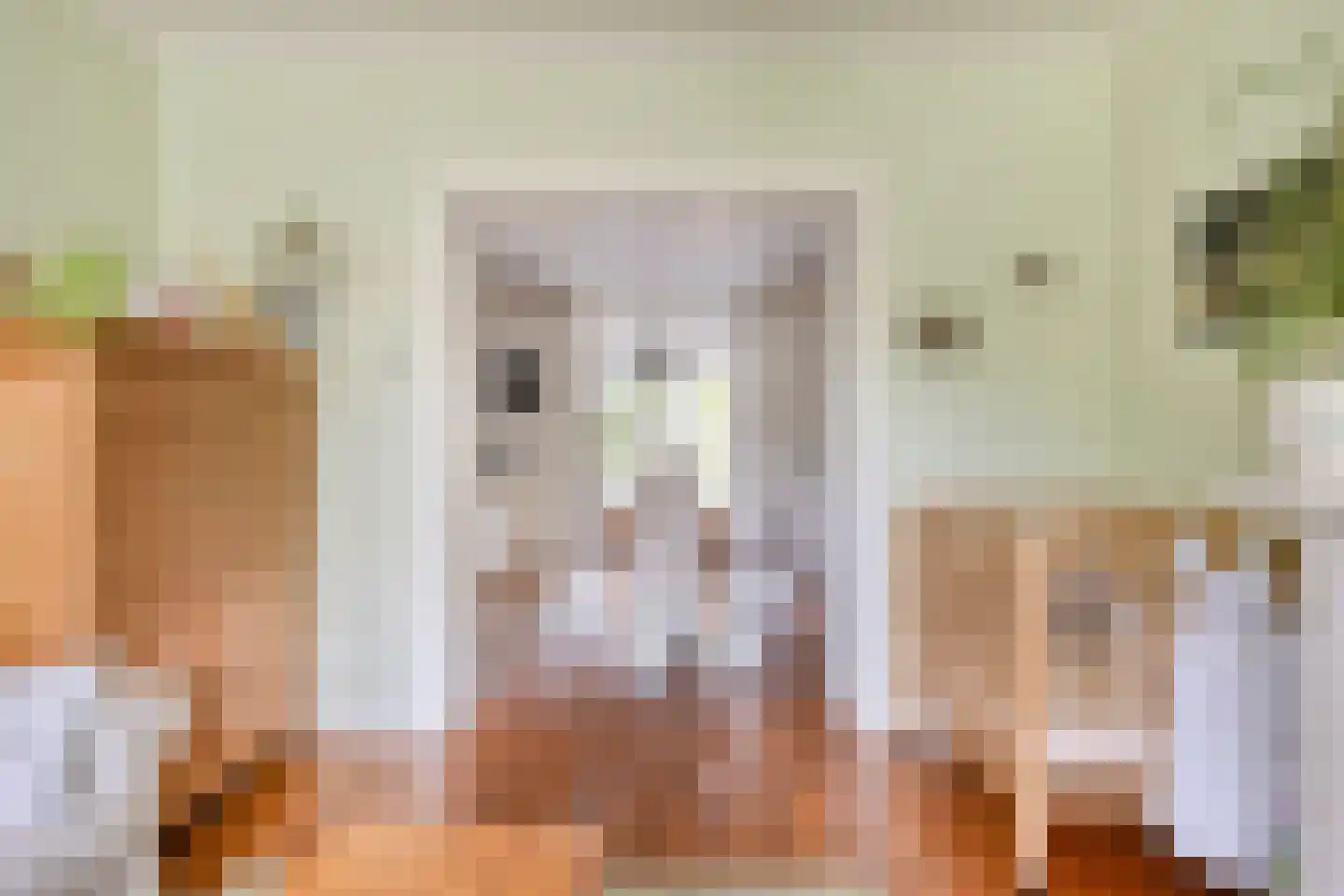 Emmalaan 14 Terneuzen thumbnail 7