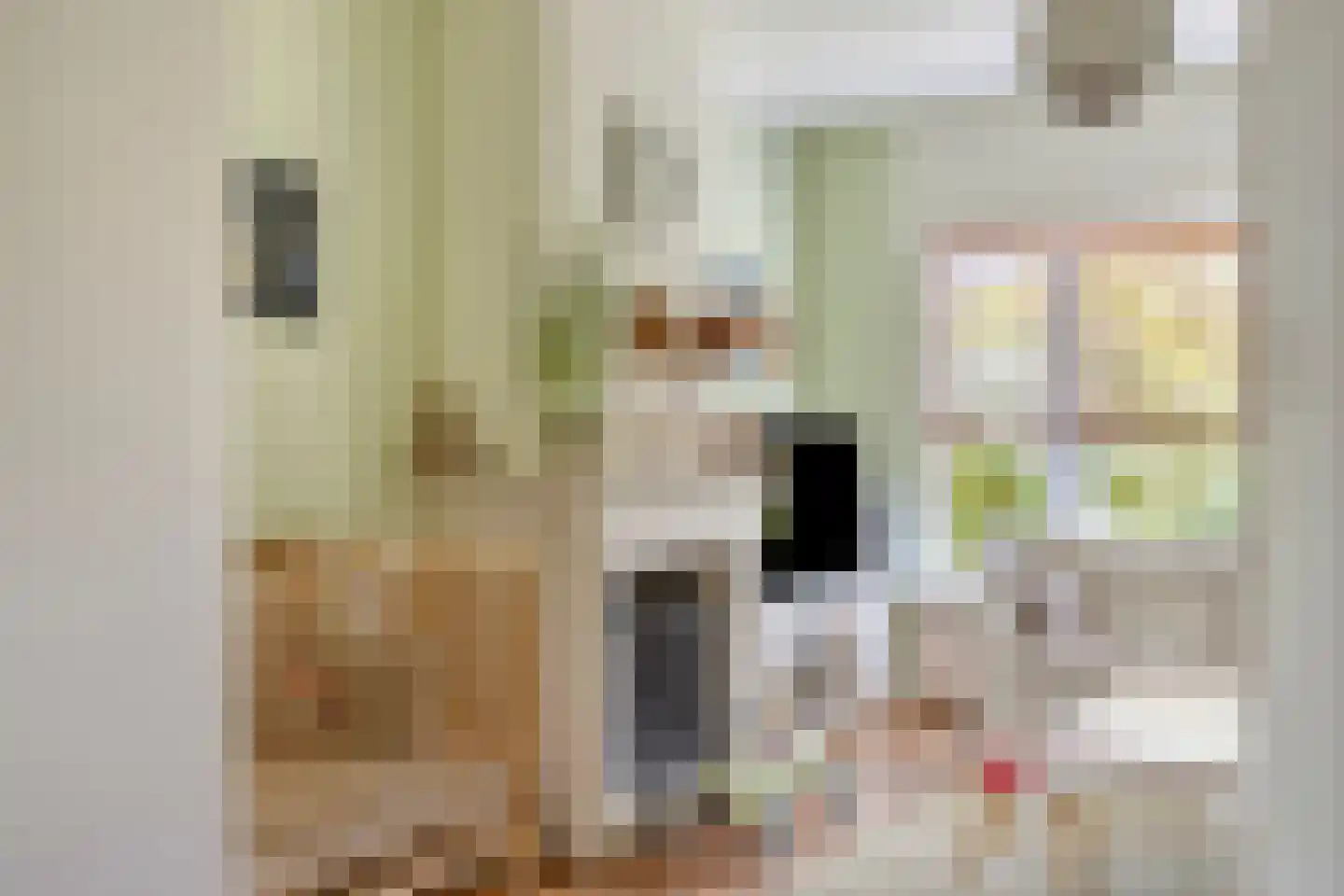 Emmalaan 14 Terneuzen thumbnail 8