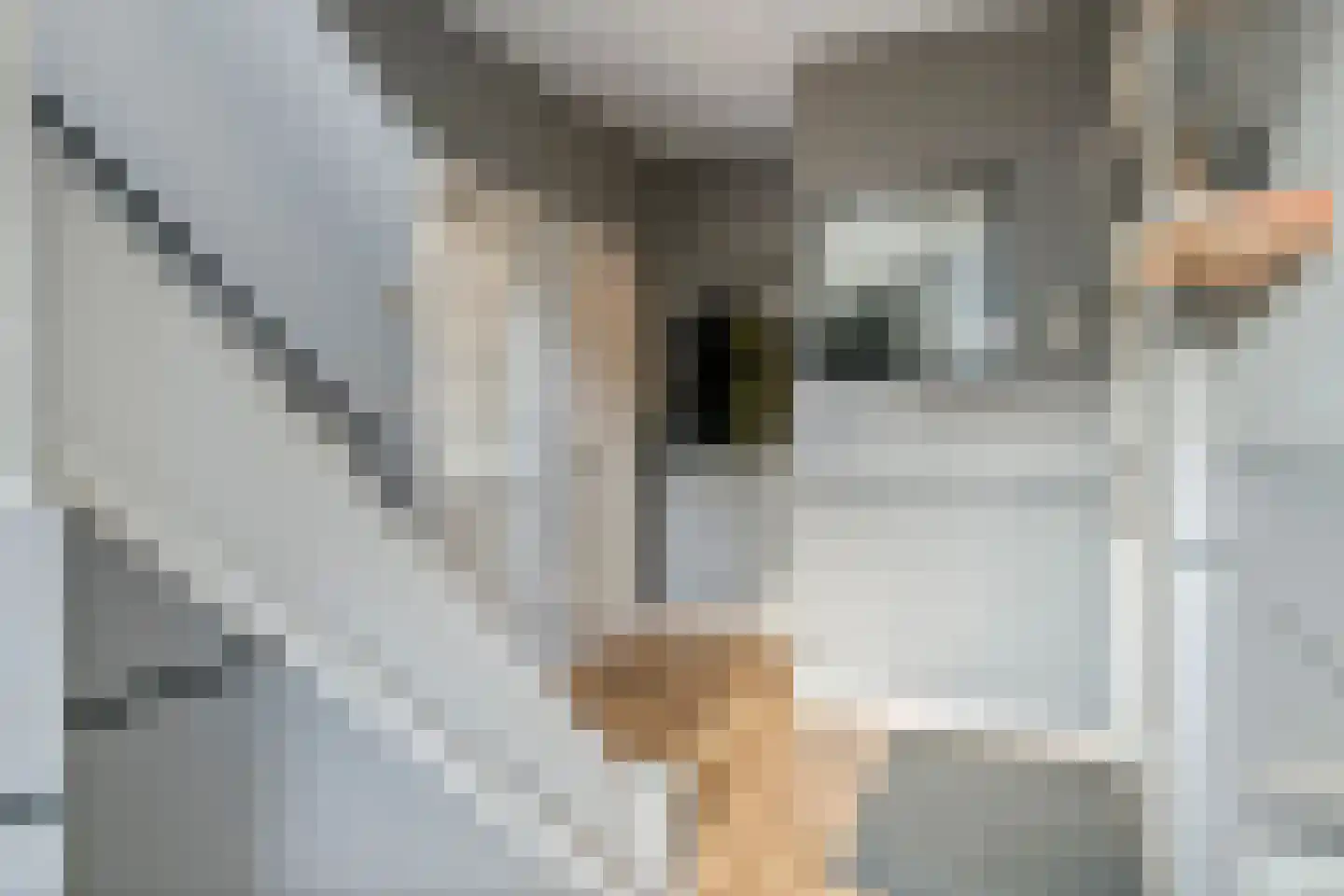 Emmalaan 15 Tiel thumbnail 29