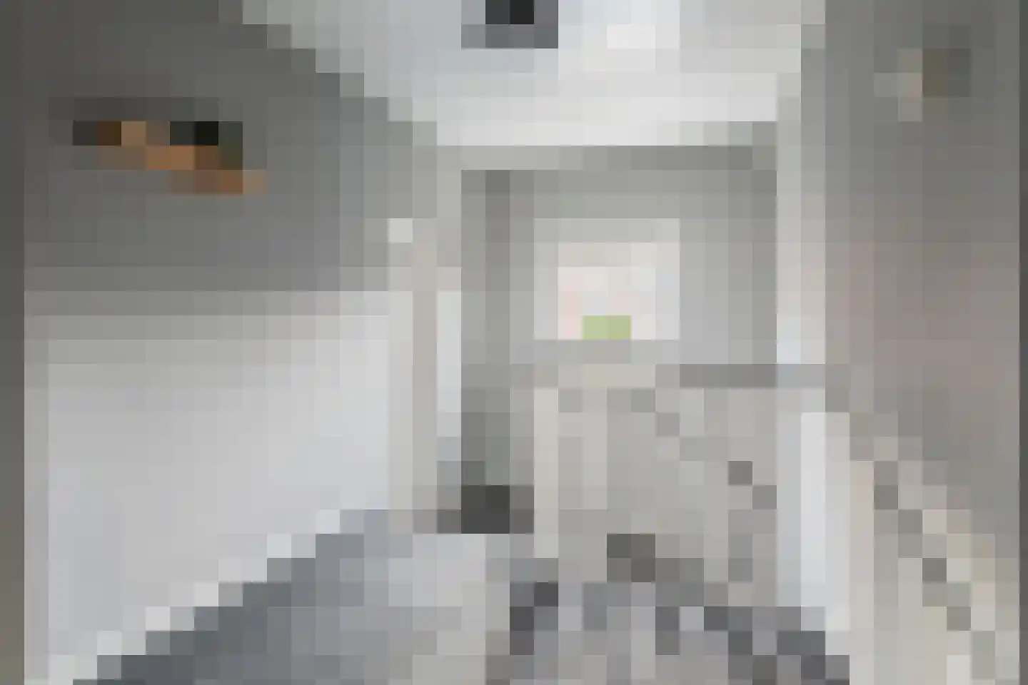 Emmalaan 15 Tiel thumbnail 31