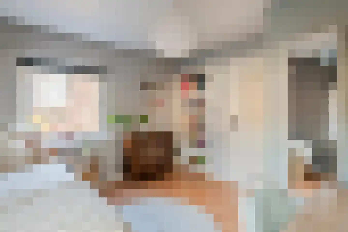 Emmalaan 15 Tiel thumbnail 37