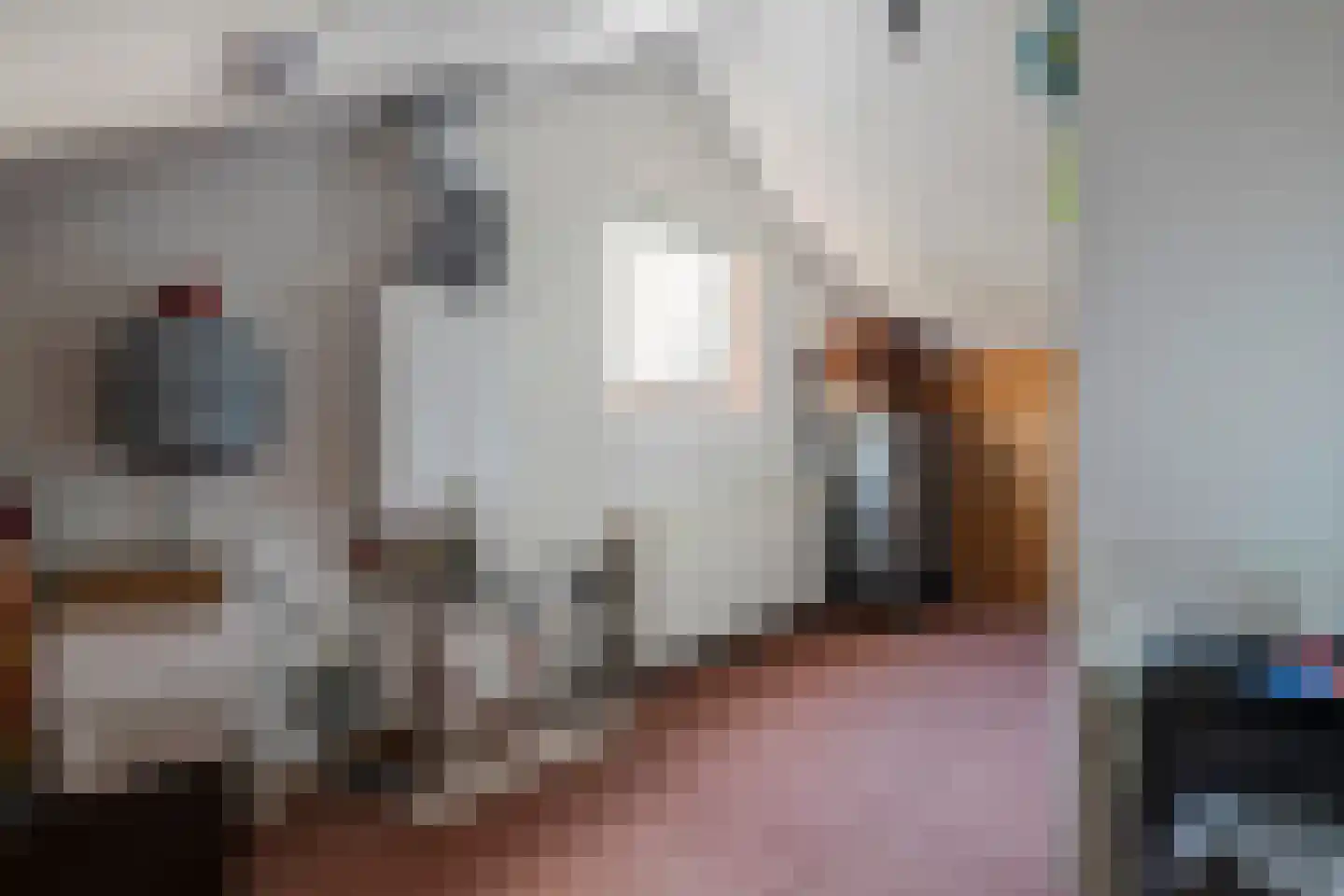 Emmalaan 15 Tiel thumbnail 47