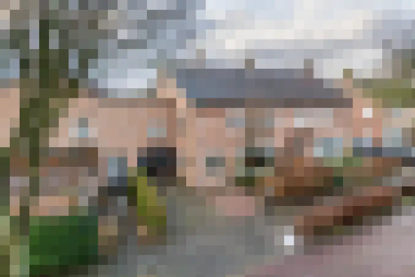 Emmalaan 15 Tiel thumbnail 48