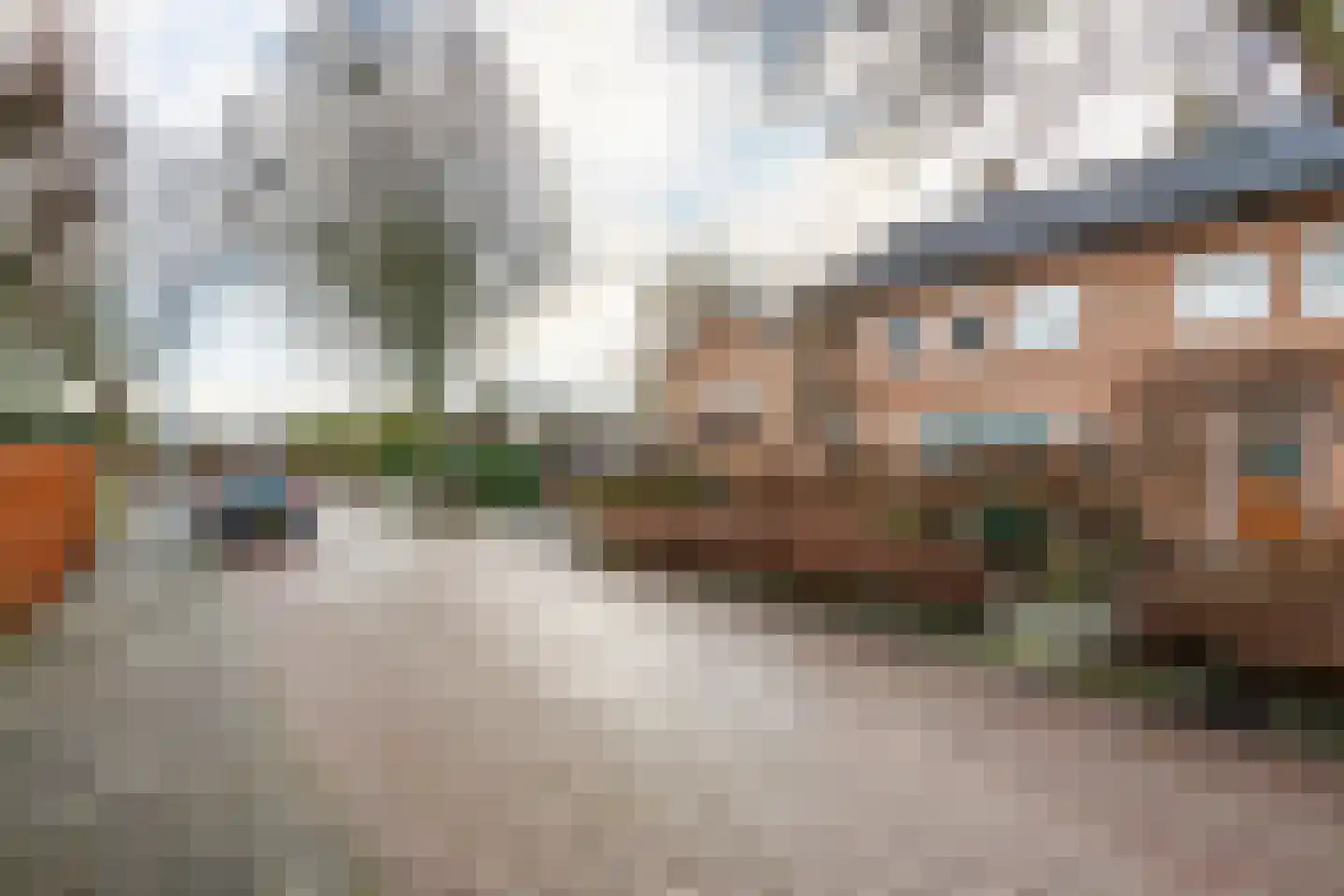 Emmalaan 15 Tiel thumbnail 50