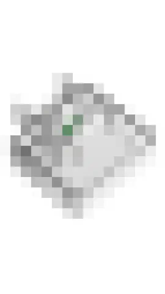 Emmalaan 15 Tiel thumbnail 52