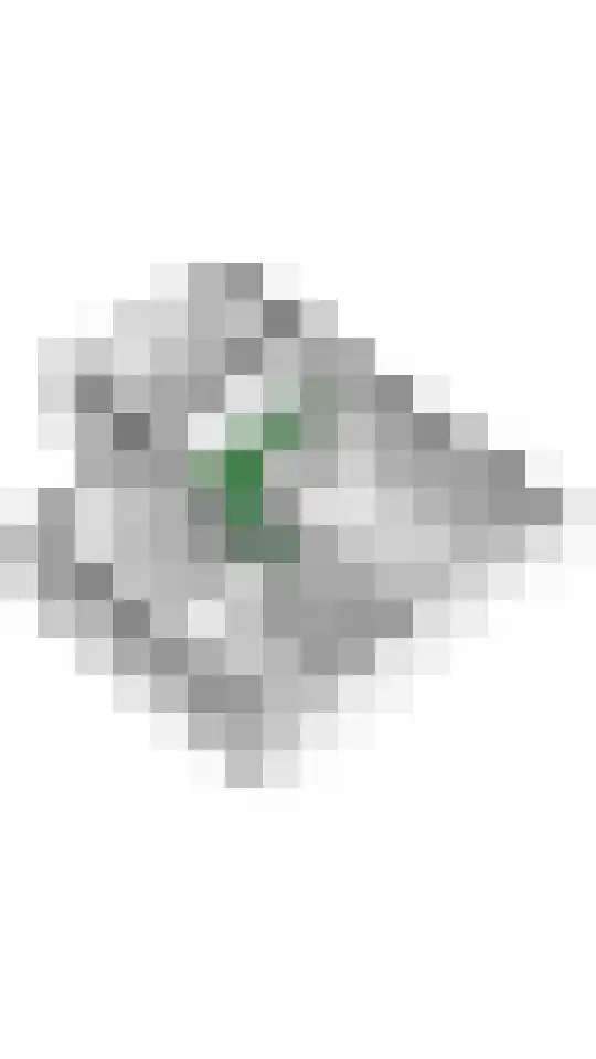 Emmalaan 15 Tiel thumbnail 54