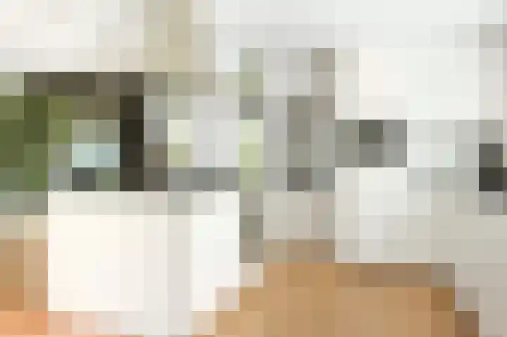 Emmalaan 16 Geldrop thumbnail 10